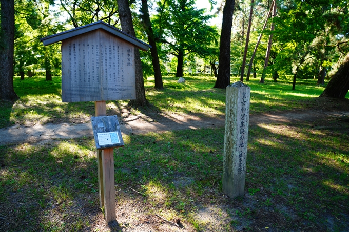 京都御苑_2022-08-03　No27