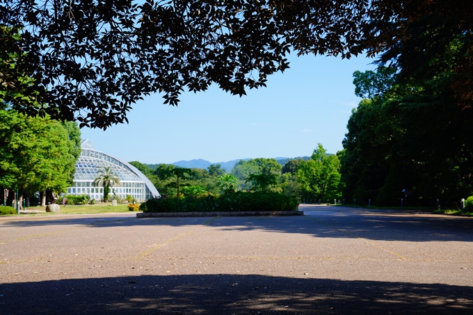 京都府立植物園_2022-08　No6