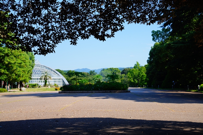 京都府立植物園_2022-08　No6