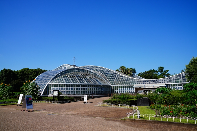 京都府立植物園_2022-08　No11