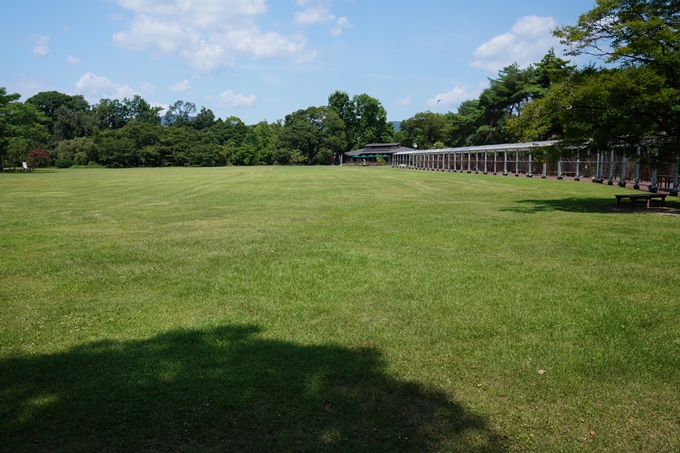 京都府立植物園_2022-08　No35