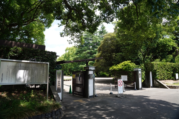 京都府立植物園_2022-08　No5