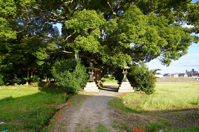 藤越神社　No2