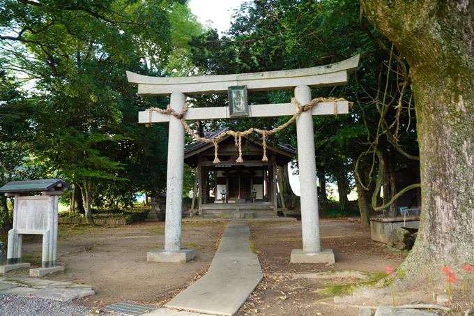 藤越神社　No3