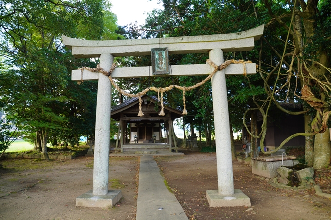 藤越神社　No6