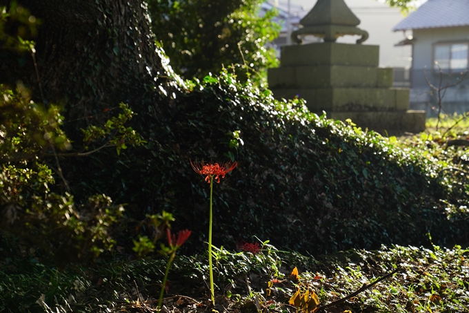 藤越神社　No15