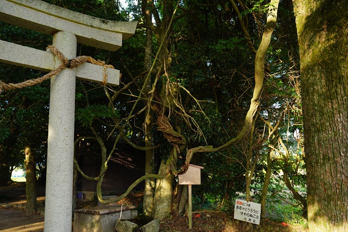 藤越神社　No16