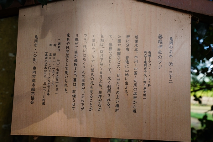藤越神社　No17