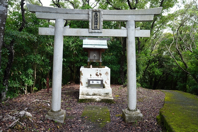 番外編_徳島県_高知県_室戸岬　No41