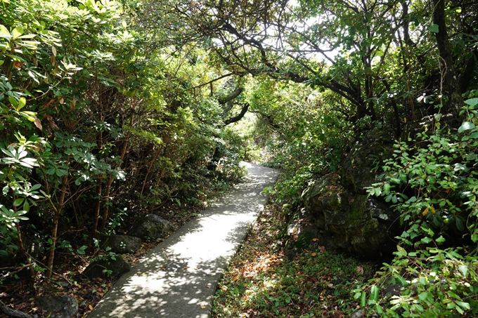 番外編_徳島県_高知県_室戸岬　No60