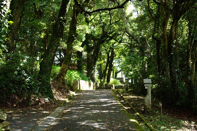 番外編_徳島県_高知県_室戸岬　No87