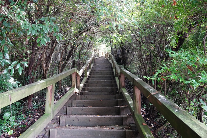 番外編_徳島県_高知県_室戸岬　No98