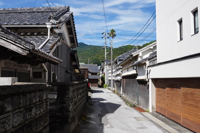 番外編_徳島県_高知県_室戸岬　No117