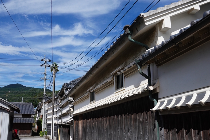 番外編_徳島県_高知県_室戸岬　No118