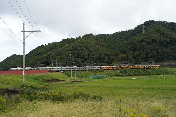 鵜ノ川遊歩道_めがね橋　No10