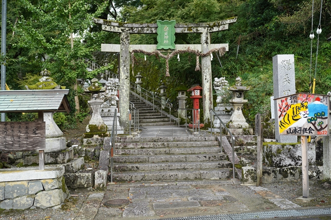 鵜ノ川遊歩道_めがね橋　No12