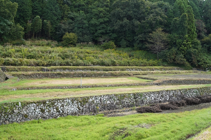 鵜ノ川遊歩道_めがね橋　No19