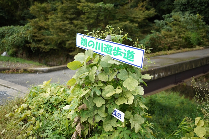 鵜ノ川遊歩道_めがね橋　No20