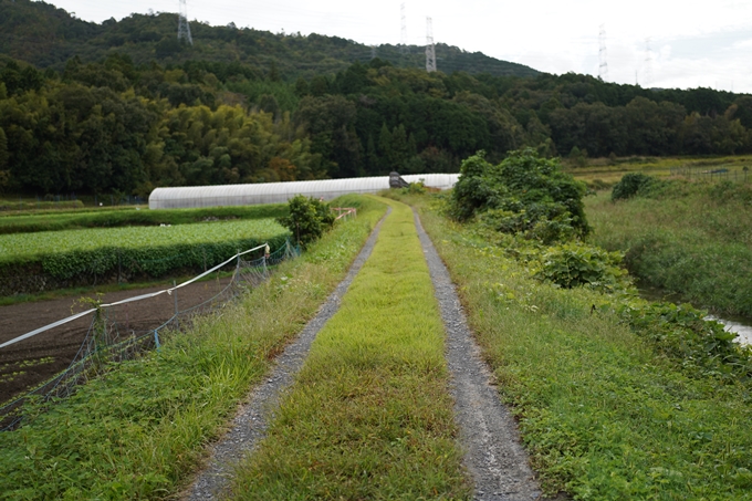 鵜ノ川遊歩道_めがね橋　No21