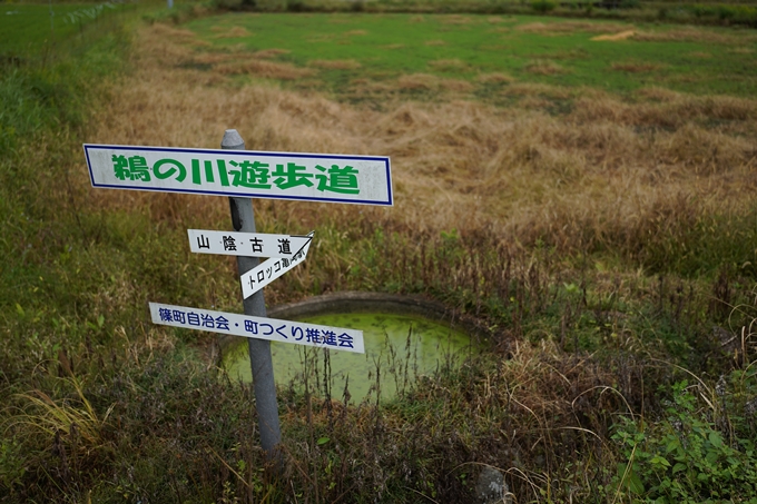 鵜ノ川遊歩道_めがね橋　No22