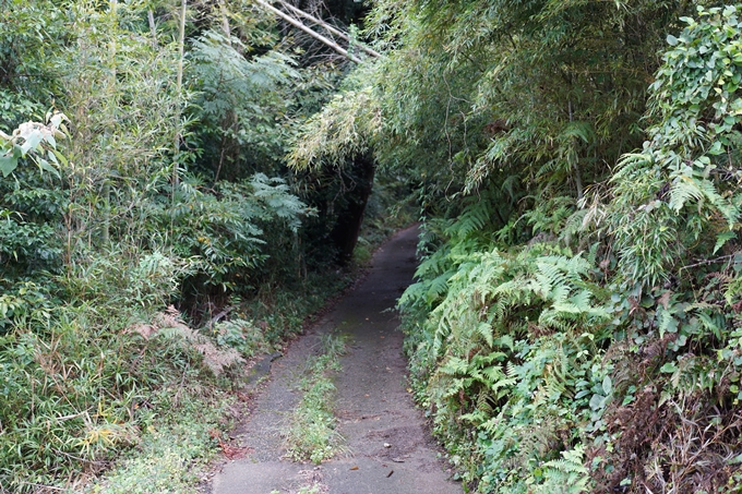 鵜ノ川遊歩道_めがね橋　No27