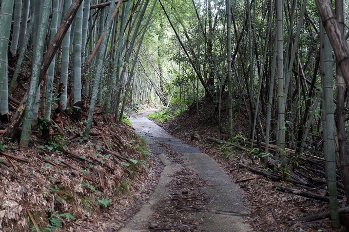 鵜ノ川遊歩道_めがね橋　No31