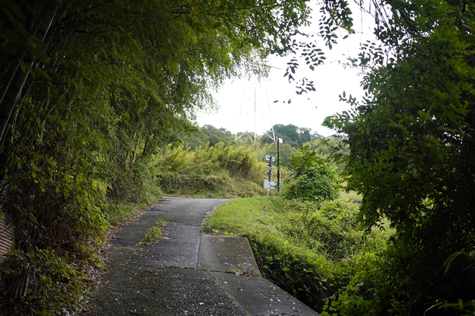 鵜ノ川遊歩道_めがね橋　No33