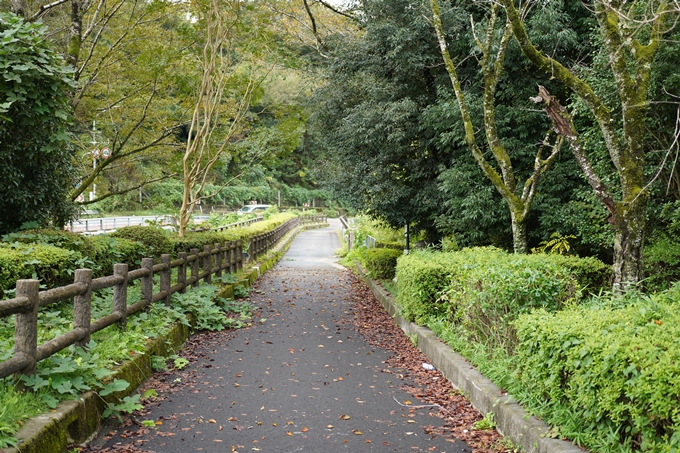 鵜ノ川遊歩道_めがね橋　No40