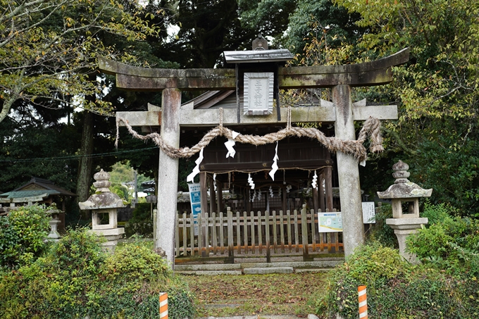 鵜ノ川遊歩道_めがね橋　No50