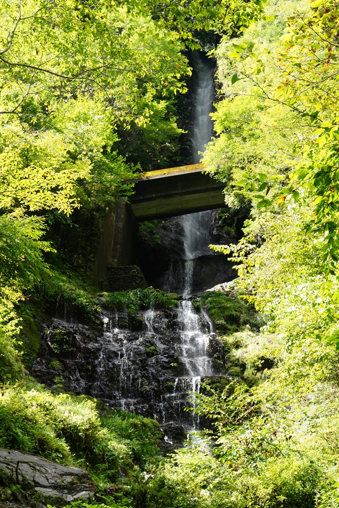 番外編_高知県_仁淀川　No24