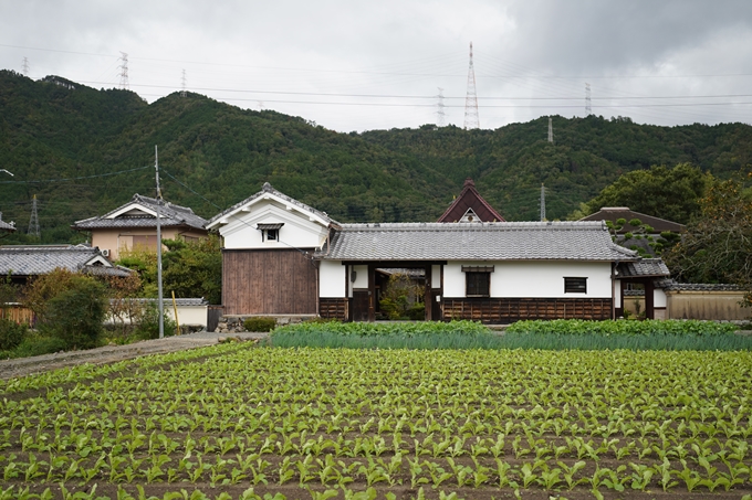 鵜ノ川遊歩道_めがね橋　No58