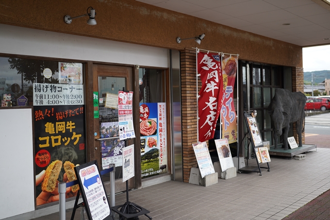 鵜ノ川遊歩道_めがね橋　No60