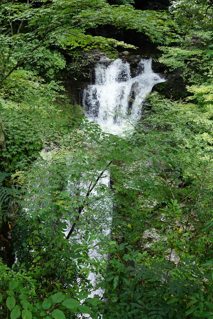 番外編_高知県_仁淀川　No59