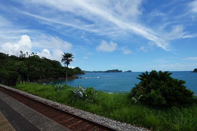 番外編_高知県_仁淀川　No96