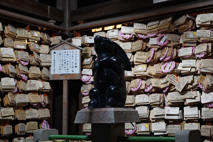 岡崎神社_夜景_2022　No6