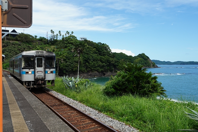 番外編_高知県_仁淀川　No100