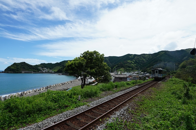 番外編_高知県_仁淀川　No105