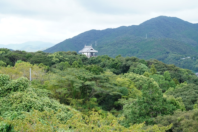 番外編_高知県_仁淀川　No116