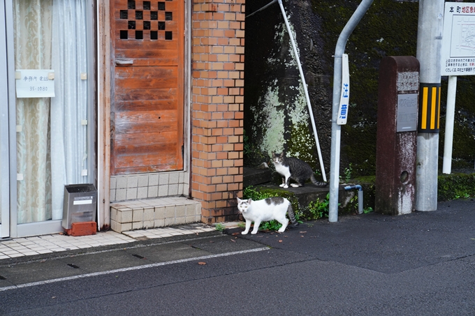 番外編_高知県_愛媛県_下灘駅　No12