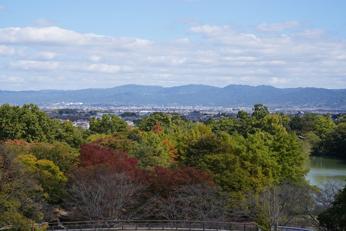 馬見丘陵公園_2022　No55