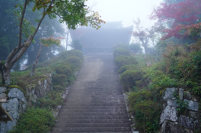 千手寺_霧_紅葉_2022　No3