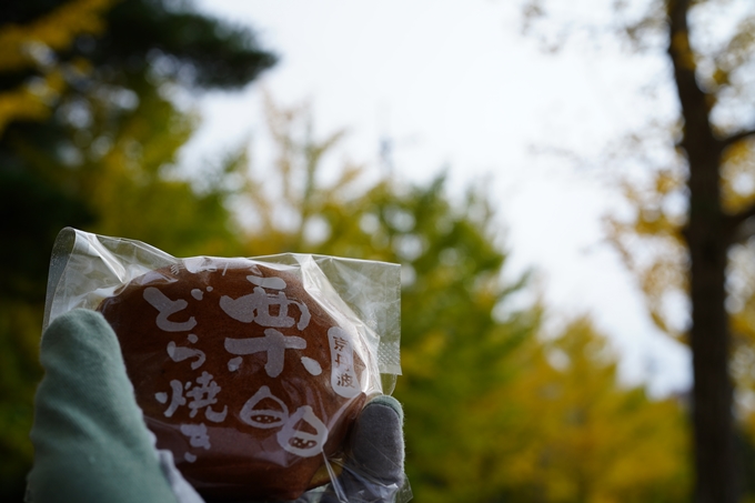 道の駅_瑞穂_さらびき_イチョウ並木　No7