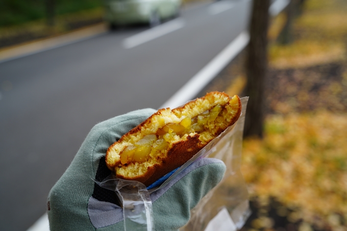 道の駅_瑞穂_さらびき_イチョウ並木　No8