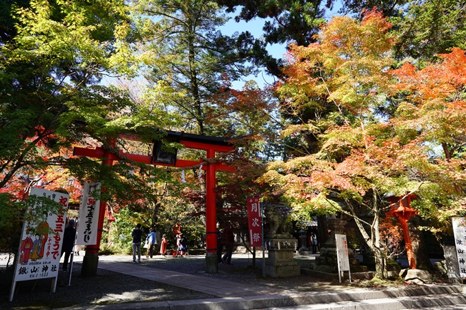 鍬山神社_紅葉_2022　No9