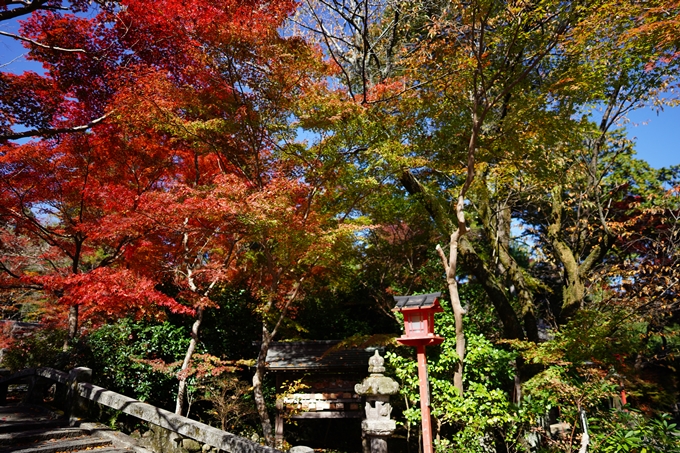 鍬山神社_紅葉_2022　No11