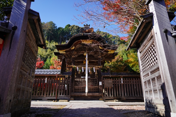 鍬山神社_紅葉_2022　No17