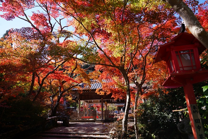 鍬山神社_紅葉_2022　No24