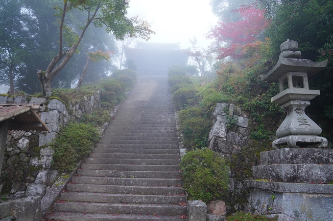 千手寺_霧_紅葉_2022　No2