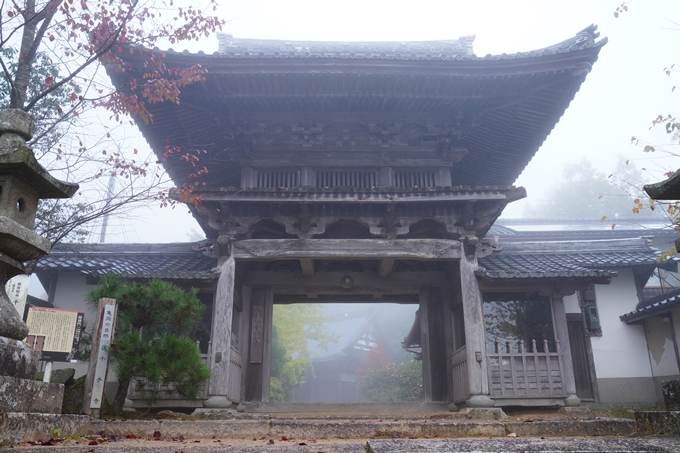 千手寺_霧_紅葉_2022　No4