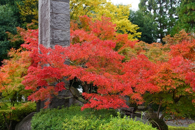 苗秀寺_紅葉_2022　No2